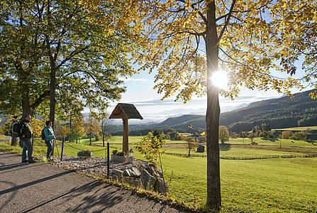 Dobratsch wandelroute: 85 km